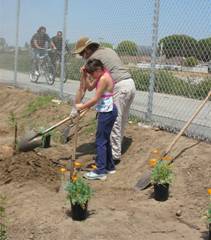 Planting Native California Plants
