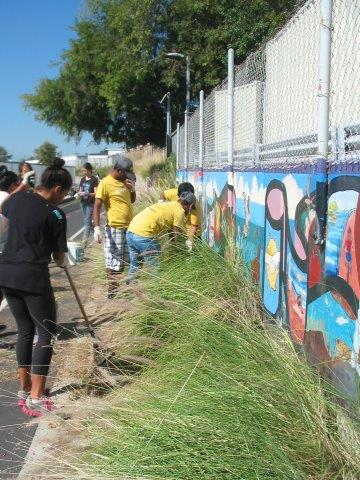 Sony volunteers dig out and remove the invasive nonnative grasses that obscured the Postcards from Ballona mural, first constructed by BCR in 1997.