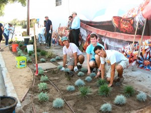 Evan Dumas (right), Chris ___ and ___ planting sustainable plants.