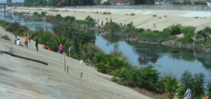 Photo of the creek at Centinela Ave before vegetation removal.